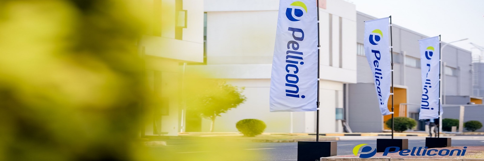 PELLICONI SCEGLIE PROTESA PER LA REALIZZAZIONE DI UN NUOVO IMPIANTO FOTOVOLTAICO