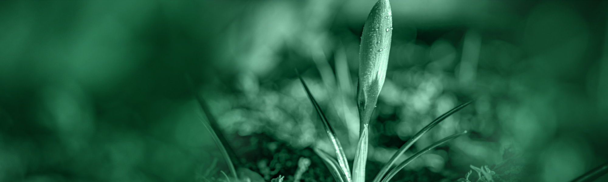 innovazione per le imprese